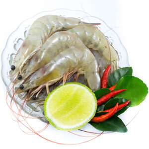 British King Prawns (x6)