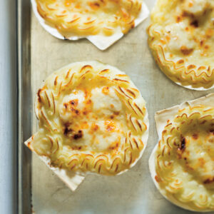 Coquilles St Jacques (x1)