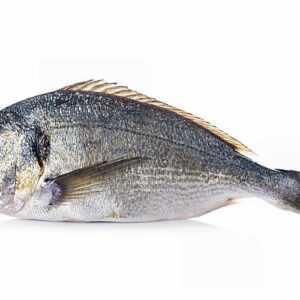Wild Bream (Cardigan Bay) Whole Frozen